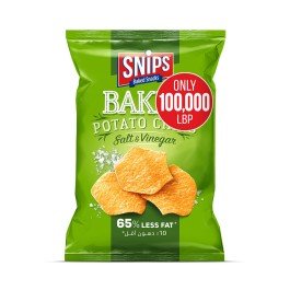 Snips Chips 100