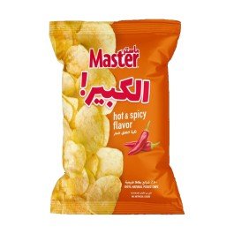 Master Chips 100
